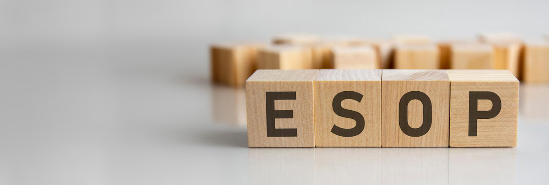 FinBuzz Expert Financial Solutions For Compliance Reporting